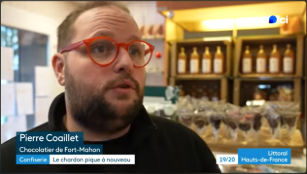 La renaissance du Chardon de Picardie : un savoir-faire chocolatier préservé